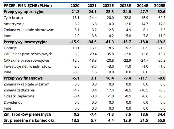 Vigo System S.A. (VIGOSYS): szczegółowa analiza spółki w ramach GPWPA3.0 - 8