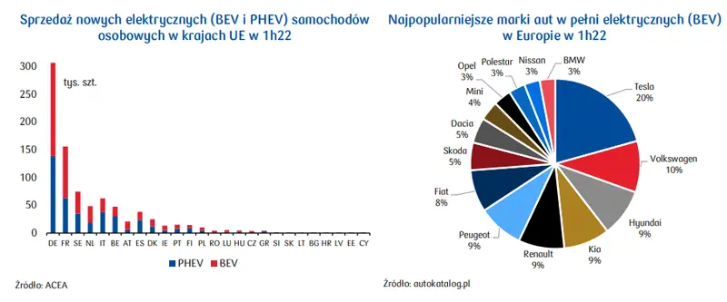 Auta elektryczne: rynek samochodów niskoemisyjnych [analiza] - 2