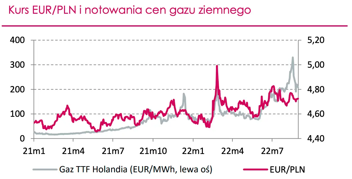 Dramat złotego: runął! Kurs euro na historycznych poziomach! Kursy walut zaskoczyły Polaków: co dalej z walutami? Perspektywy (2022/2023) mało optymistyczne - 1