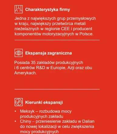 Grupa Boryszew (jedna z największych grup przemysłowych w Polsce) jako przykład inwestycji zagranicznej [raport PWC] - 1