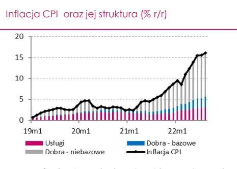 Jaka będzie inflacja w Polsce w 2023 roku? Analitycy DM Millennium prognozują  - 1