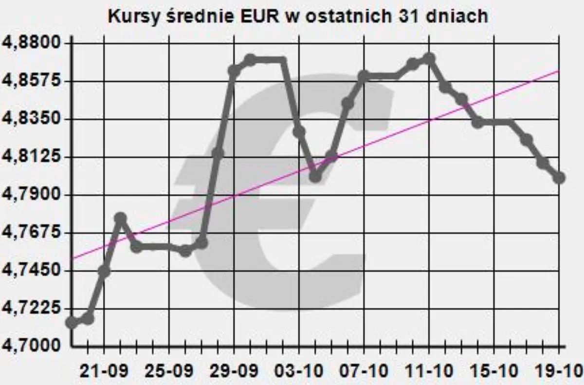 Kursy walut 20.10.: wyprzedaż głównych walut! „Złotówka” drożeje. Zobacz, po ile jest dzisiaj euro (EUR), frank (CHF), funt (GBP), jen (JPY), rubel (RUB), korona (SEK), forint (HUF), dolar (USD) - 7