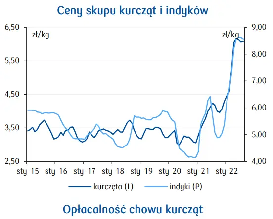Agro Nawigator. Dobre wyniki branży drobiu w Polsce, spadki w UE [analiza PKO] - 2