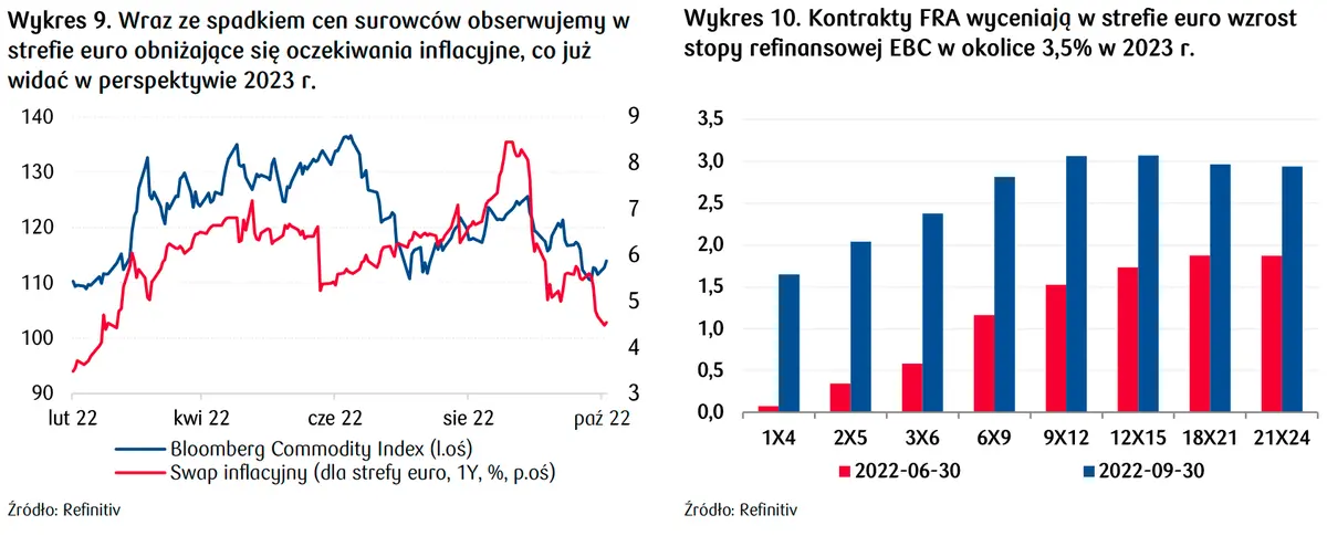 Kursy walut eksplodują w 2023 roku?! Sprawdź prognozy dla rynku walutowego FOREX: euro (EUR), dolar (USD), frank (CHF) i przekonaj się, w jakim kierunku pędzą waluty - 7