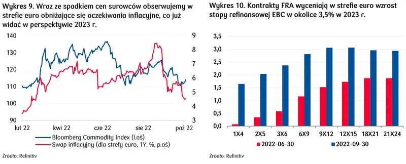 Kursy walut eksplodują w 2023 roku?! Sprawdź prognozy dla rynku walutowego FOREX: euro (EUR), dolar (USD), frank (CHF) i przekonaj się, w jakim kierunku pędzą waluty - 7