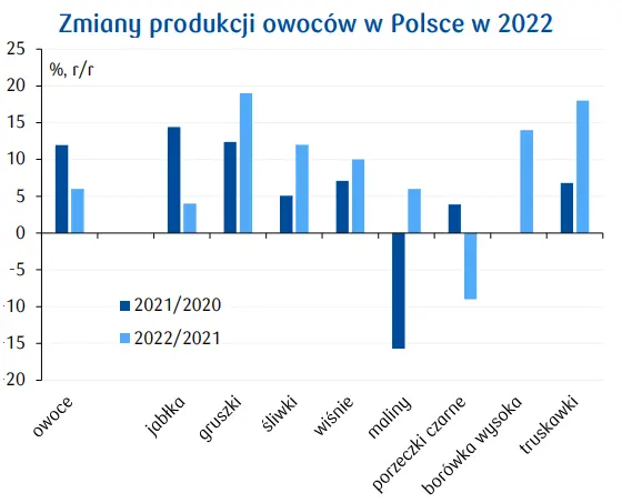 Owoce: wzrost krajowej produkcji owoców w 2022, jednak eksport wciąż niski [ceny jabłek, ceny soku jabłkowego] - 1