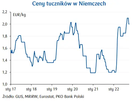 Produkcja wieprzowiny: spadki pogłowia trzody u głównych producentów, rosną ceny żywca. Analizy sektorowe - 3