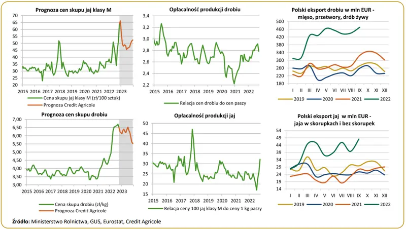 Polski eksport drobiu i jaj wystrzelił! Chociaż ceny i tak spadają… - 1