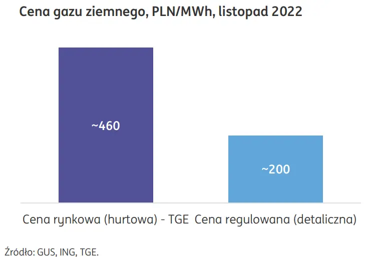 Rozwiązania w zakresie detalicznych cen energii na 2023: Administracyjne ograniczenia cen prądu i gazu przenoszą presję na ich wzrost na 2024 - 2