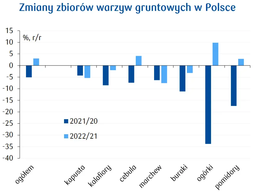 Ceny warzyw w Polsce 2023 – produkcja lepsza od prognoz. Co dalej? - 1