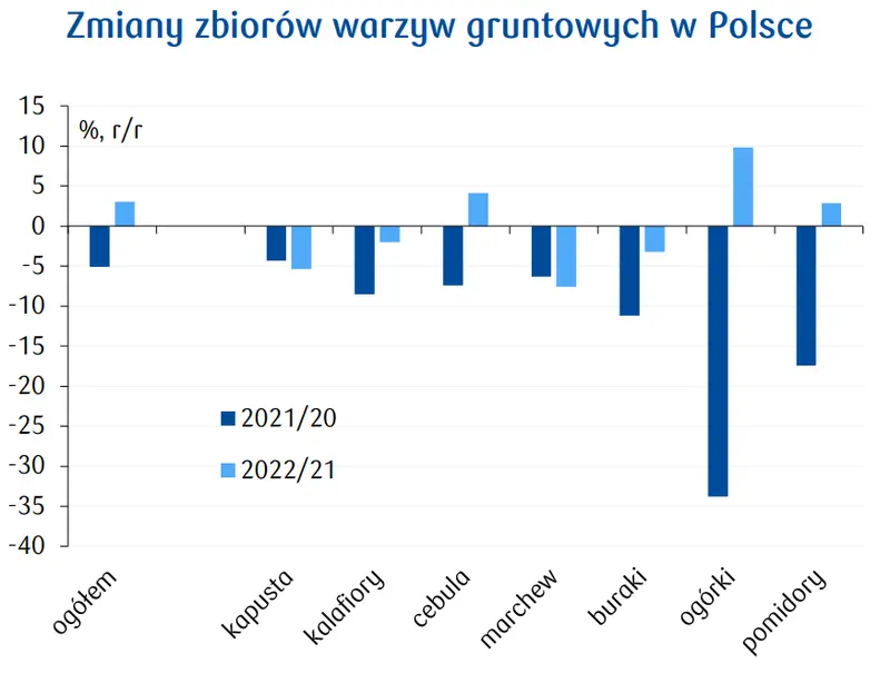 Ceny warzyw w Polsce 2023 – produkcja lepsza od prognoz. Co dalej? - 1