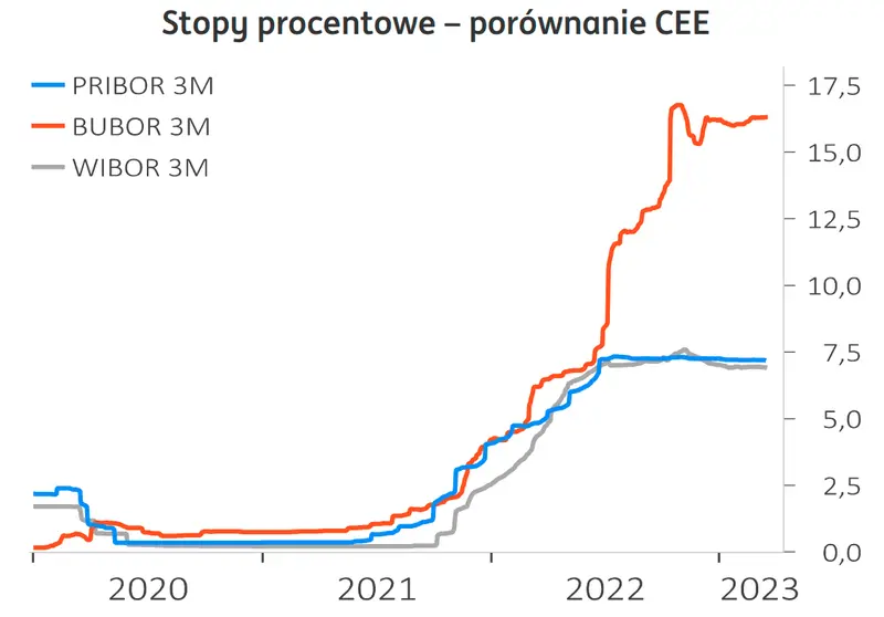 Kursy walut szokują! Złoty miał spadać… i zaraz może znów ostro zaskoczyć Polaków. Sprawdź, po ile będzie dolar, frank, funt, euro - prognozy FOREX - 3