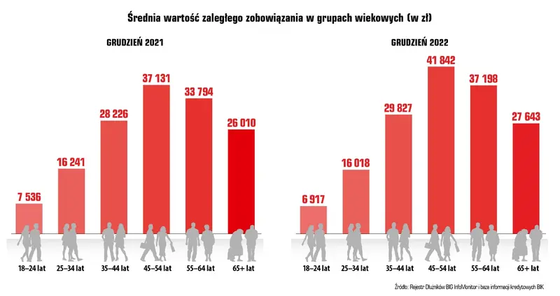 Raport InfoDług: W roku drożyzny Polacy zwiększyli zaległości o 6,4 mld zł do 79 mld zł - 2