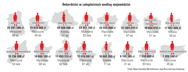 Raport InfoDług: W roku drożyzny Polacy zwiększyli zaległości o 6,4 mld zł do 79 mld zł - 8