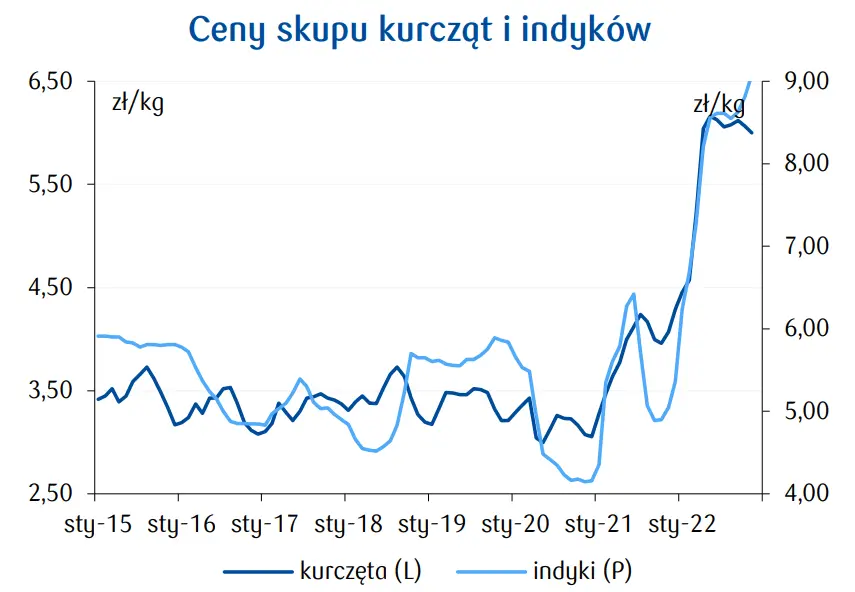 Rynek drobiu w Polsce: eksport i  produkcja spadają,  ceny rosną [PERSPEKTYWY 2023] - 2