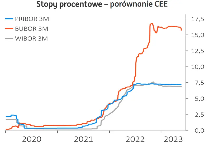 Kursy walut szykują się do wystrzału? Sprawdź, co analitycy mówią o przyszłości dolara (USD), euro (EUR), funta (GBP) i franka (CHF) - ile złotych (PLN) za te waluty  - 3