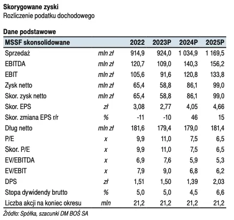 Ferro: rekomendowane działanie. Raport na zlecenie GPW - 1