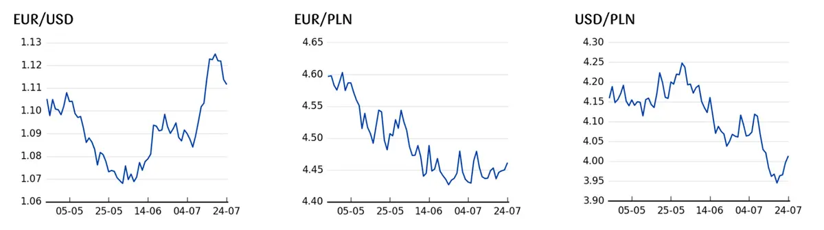 Kursy walut 25.07.: trzęsienie na najważniejszych walutach! Kurs dolara poleci jak szalony! Sprawdź, po ile jest dzisiaj frank (CHF), dolar (USD), jen (JPY), euro (EUR), forint (HUF), funt (GBP) - 3