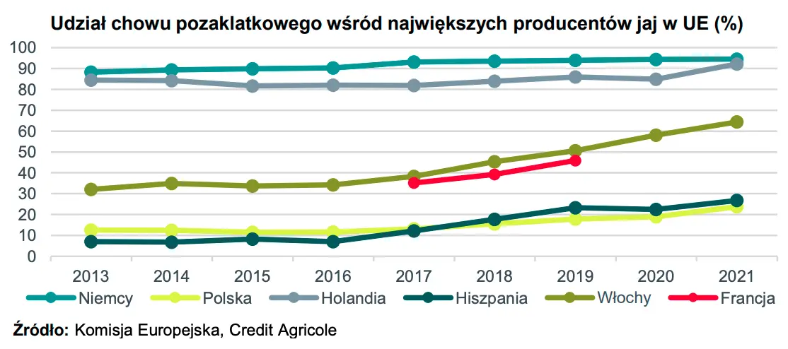 Nadchodzi fala inwestycji w polskim sektorze jaj - twierdzą analitycy - 1