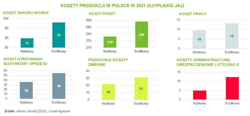Nadchodzi fala inwestycji w polskim sektorze jaj - twierdzą analitycy - 4
