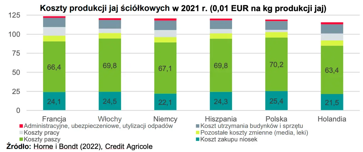 Nadchodzi fala inwestycji w polskim sektorze jaj - twierdzą analitycy - 5