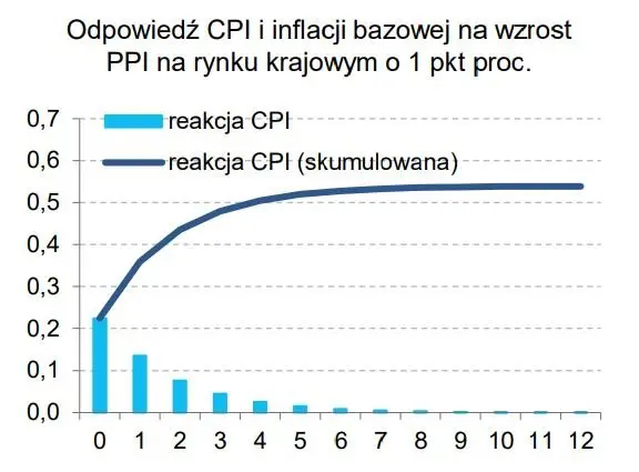 Tak ma się zachować inflacja. Projekcja inflacyjna NBP lipiec 2023 - 16