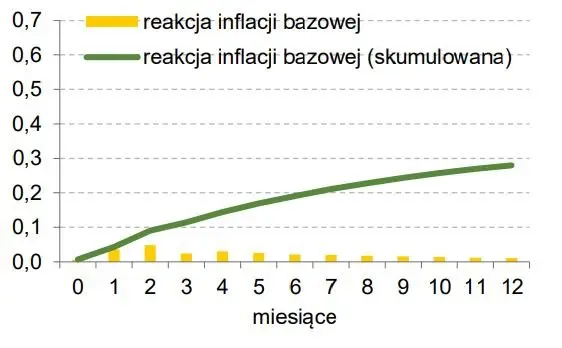 Tak ma się zachować inflacja. Projekcja inflacyjna NBP lipiec 2023 - 17