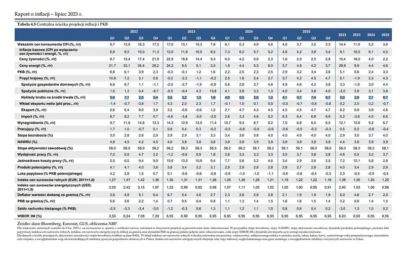Tak ma się zachować inflacja. Projekcja inflacyjna NBP lipiec 2023 - 19