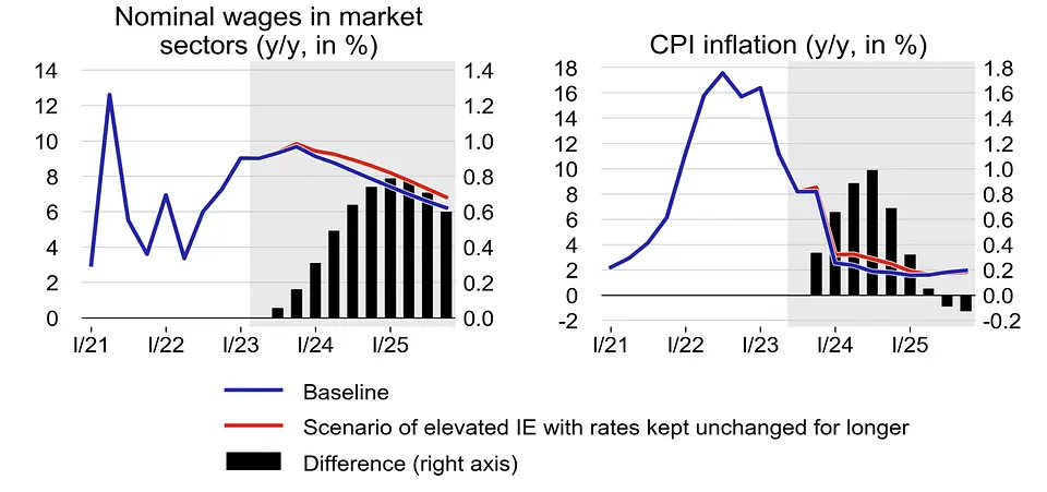 Czeska gospodarka od środka – główne dane i najnowsza prognoza ekonomiczna CNB - 12