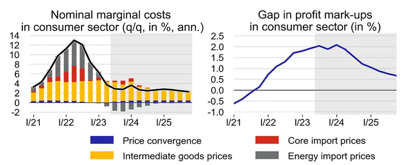 Czeska gospodarka od środka – główne dane i najnowsza prognoza ekonomiczna CNB - 5