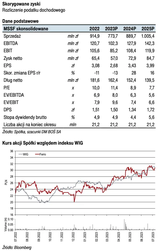 Ferro realizuje swoją strategie. Jak zakup Heating Polska wpłynie na wyniki spółki?  - 1