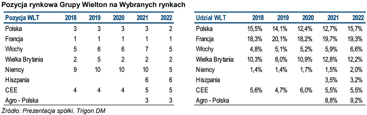 Grupa Wielton: sprawdzamy potencjał w ekspansji geograficznej - 1