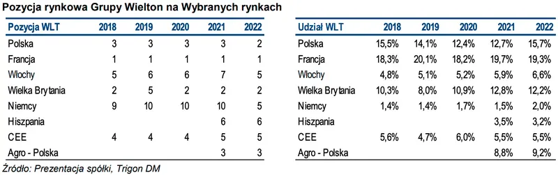 Grupa Wielton: sprawdzamy potencjał w ekspansji geograficznej - 1