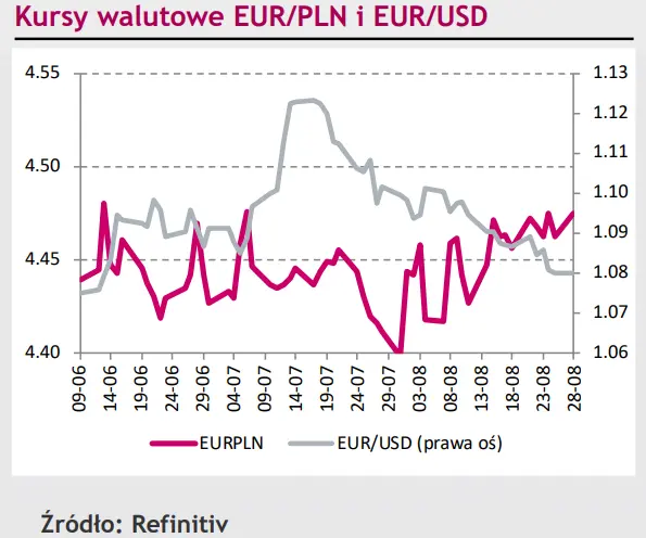Polski złoty (PLN) dźwiga spore brzemię – z jednej strony słabe dane makro z drugiej mocny dolar (USD) - 1
