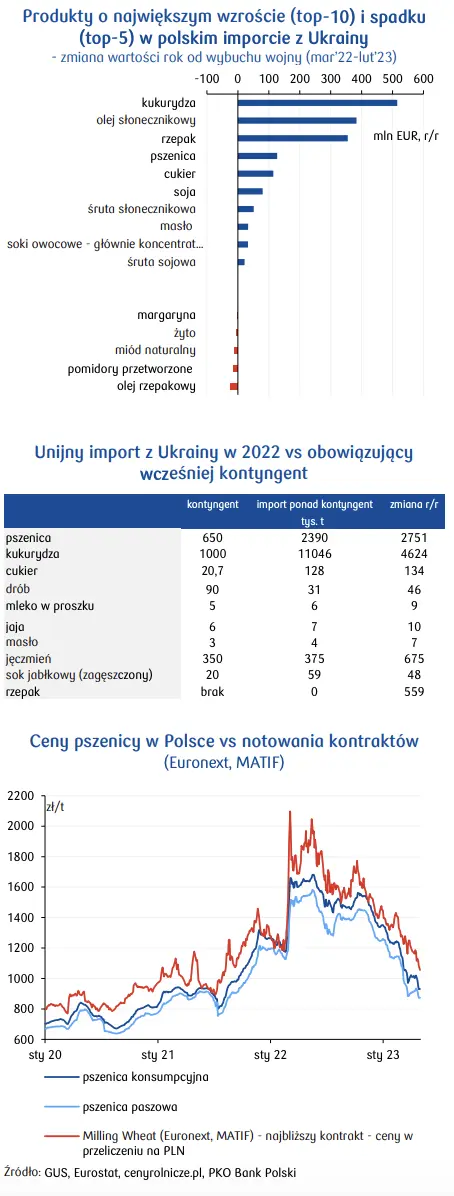 Udział Ukrainy w polskim imporcie rol-spoż ostro wzrósł. Największą uwagę przykuł import zbóż i rzepaku - 1