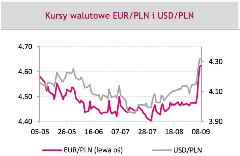 Gorąca prognoza dla cen głównych walut: gigantyczne spadki złotego (PLN)! Sprawdź, co eksperci sądzą o kursie euro (EUR) i dolara (USD) - 2