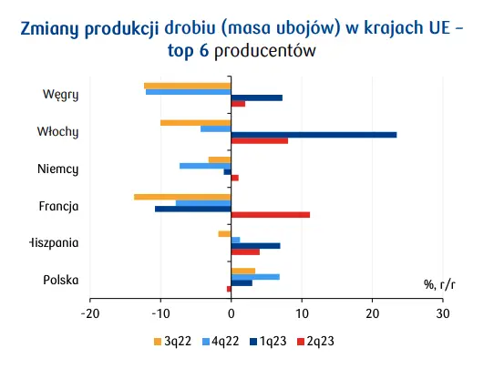 Ceny drobiu będą spadać? Perspektywy na 4Q23 i 1H24 nie pozostawiają złudzeń  - 1