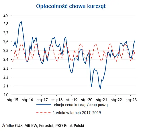 Ceny drobiu będą spadać? Perspektywy na 4Q23 i 1H24 nie pozostawiają złudzeń  - 3