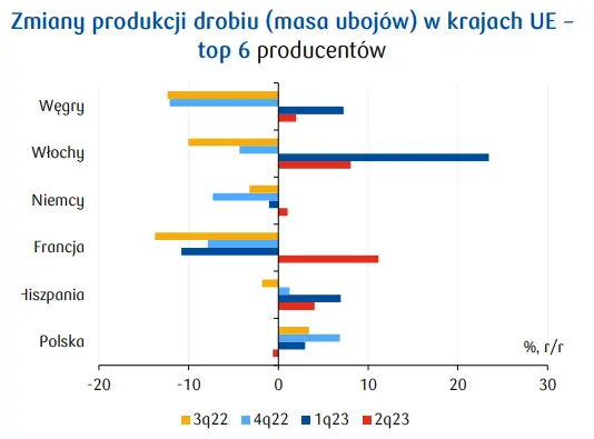 Ceny drobiu w Polsce: produkcja rośnie, a eksport maleje. Czy to nie zaburza równowagi rynku? - 1