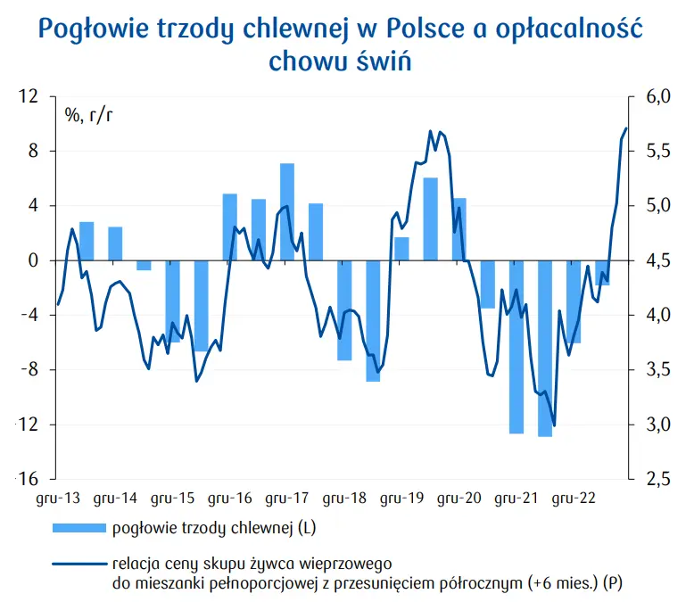 Ceny wieprzowiny w Polsce: eksport spada, a ceny razem z nim. Czy jest szansa na poprawę w przyszłym roku? - 1