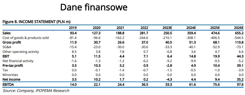 Jakie ryzyka zagrażają działalności spółki ML System? Analiza najważniejszych czynników i danych finansowych - 1