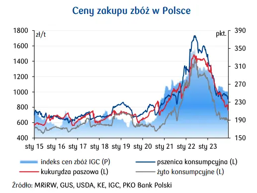 Ceny zbóż. Prognozy dla cen pszenicy i kukurydzy na 2024 rok  - 3