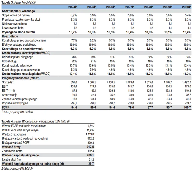 Ferro akcje prognozy na najbliższe dni! Coraz lepsze perspektywy dobrze rokują spółce - 2