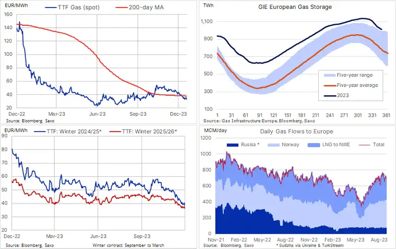 Ropa naftowa i gaz ziemny w obliczu ryzyka zakłóceń na Morzu Czerwonym - 1