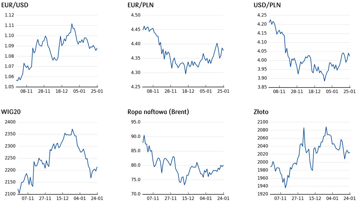 Wykresy notowań kursów walut, WIG20 oraz surowców