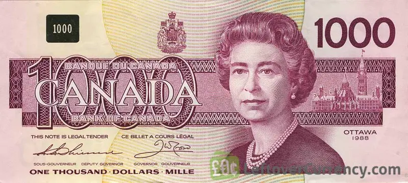 Loonie. Od szatańskiego banknotu po polimerowe cudeńka! Dolar kanadyjski – ciekawostki, banknoty, monety i historyczne notowania CAD.  - 4