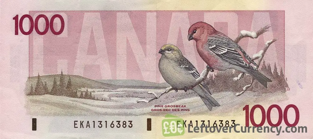 Loonie. Od szatańskiego banknotu po polimerowe cudeńka! Dolar kanadyjski – ciekawostki, banknoty, monety i historyczne notowania CAD.  - 5