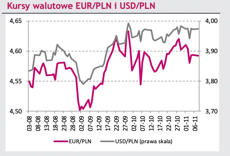 Czy kurs euro dynamicznie straci na wartości? Ile możesz zapłacić za jednego dolara w 2022 roku? Dane i prognozy FOREX [EURUSD, EURPLN, USDPLN] - 1