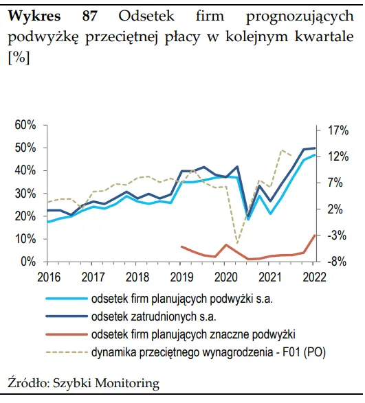 Szybki monitoring NBP – czy inflacja napędza presję płacową w Polsce?  - 13
