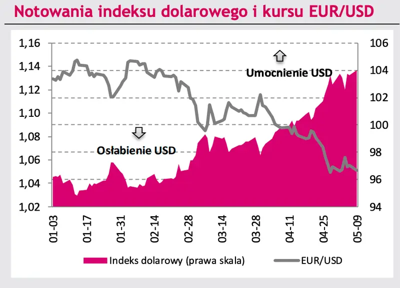 Kursy walut wprawią Cię w osłupienie? Będzie się działo na kursie dolara (USD), euro (EUR) i złotego (PLN)! Zobacz, co poruszy rynkiem walutowym FOREX - 6